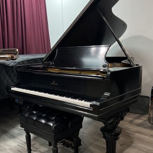 1905 Steinway B  Grand EP | 105530