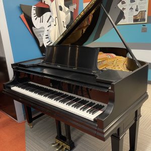REBUILT 1925 Steinway M XR Grand TUX | 230875