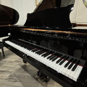 REBUILT 1923 Steinway A3 Grand EP | 218206