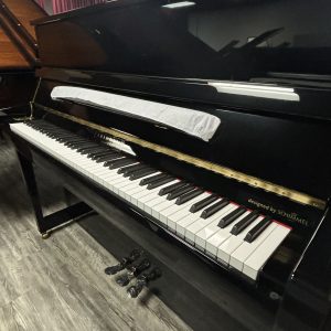 NEW Schimmel F123T Vertical EBHP| 112.328