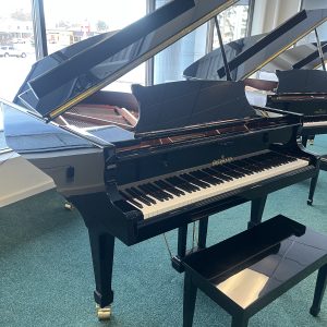 NEW Brodmann CE-175 Grand EP | 1750001241