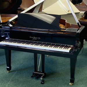 NEW Hallet Davis GP-160 Grand EP | 2705593