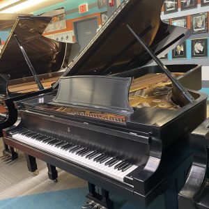 REBUILT 1921 Steinway D Grand ES | 219648