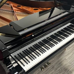 NEW Schimmel W206T Grand EBHP | 019.593