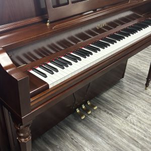USED Essex EUP-116 Vertical MS | E1310120C