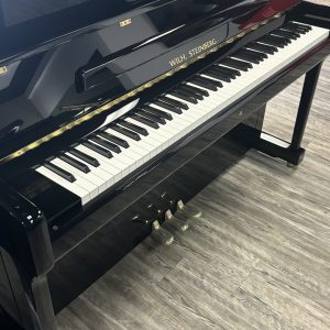 NEW Wilh. Steinberg P-118 Vertical EP | 303.577