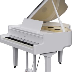 NEW Roland GP-9 PW Digital Piano
