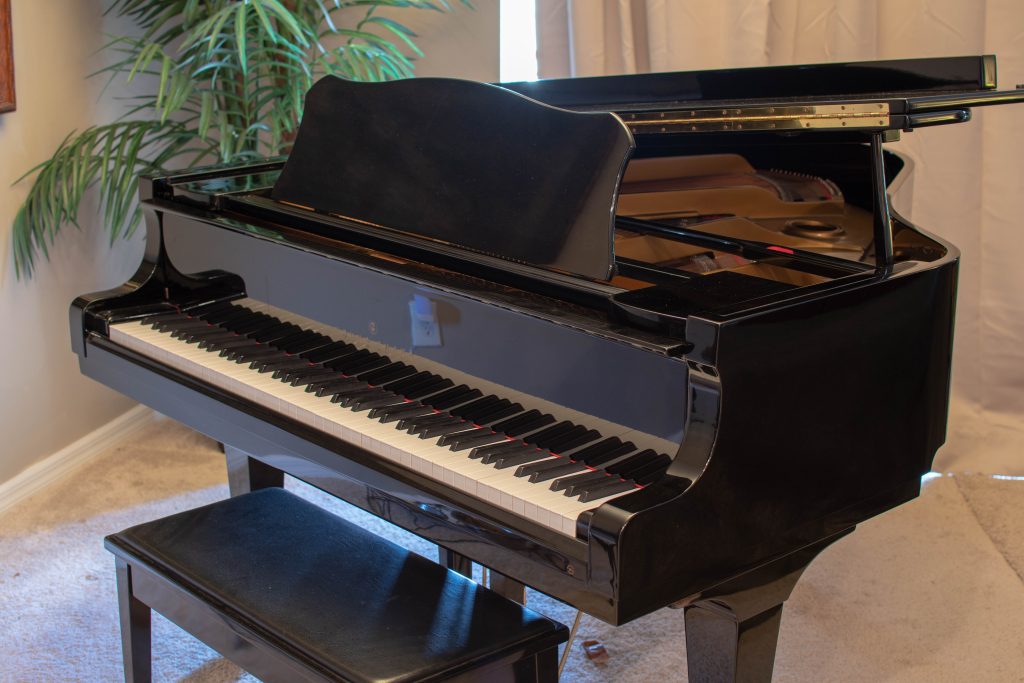 Baby Grand Piano in West Melbourne, FL | Piano Nation