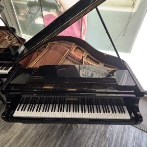USED Schafer & Sons Baby Grand EP | G024769