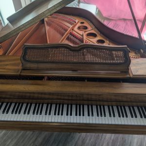 Used Kimball Viennese Art Case Grand WS | B67459