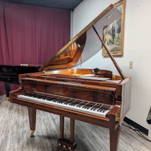Schimmel W180T