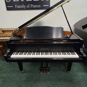 yamaha gh1
