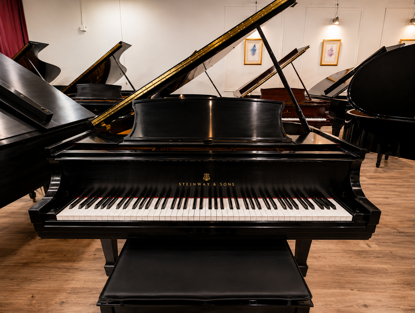 STEINWAY S