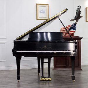 Steinway S Grand ES | 528747