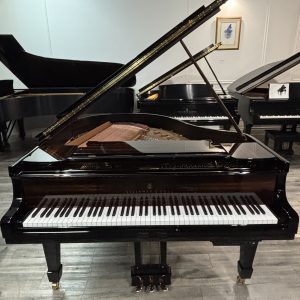 Steinway S Grand EP Onyx Duet w/PNO4 | 285092